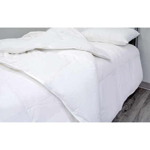Lark Manor Pari All Season Canadian Goose Down Comforter & Reviews